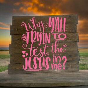 Test the Jesus (Workshop) (Christian)