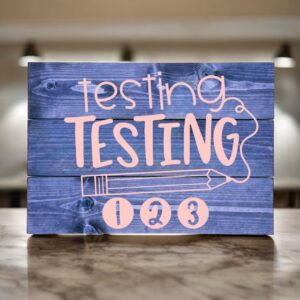 Testing Testing 123 (Workshop) (Teacher)