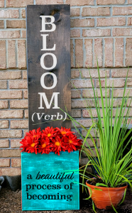 Bloom Definition (Workshop) (Planter Boxes)
