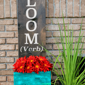 Bloom Definition (Workshop) (Planter Boxes)