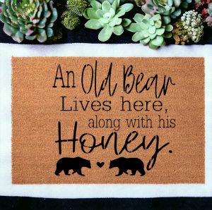 An old Bear (Workshop)