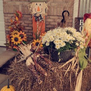 HAPPY THANKSGIVING! CLOSED