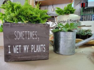 I WET MY PLANTS, D.I.Y. Plant Station