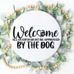 Welcome approved by dog