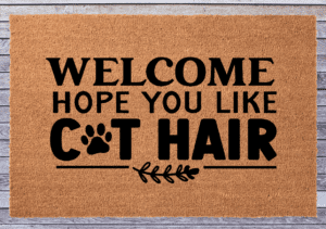 Welcome hope you like cat hair (Workshop)