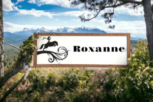 Girl Riding Horse with Name